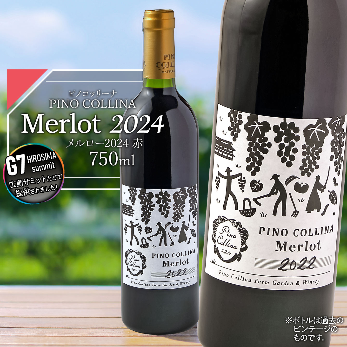 【ふるさと納税】ピノ・コッリーナ メルロー 2024（赤） | 赤ワイン Melrot PINO COLLINA 株式会社エルサン