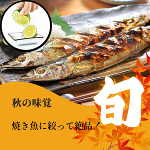 【2025年10月中旬順次発送】 ゆこう 1kg 柑橘 柚柑 ゆず すだち みかん 柚子 ユズ ダイダイ 酢  ゆこう ゆこう ゆこう ゆず ゆず ゆず