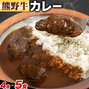 【ふるさと納税】牛肉 熊野牛 カレー 4食 5食セット 株式会社Meat Factory《30日以内に出荷予定(土日祝除く)》和歌山県 日高川町 熊野牛 牛 和牛 焼肉 希少部位 ミスジ 焼肉