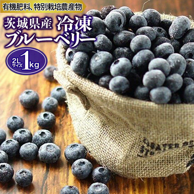 【ふるさと納税】冷凍ブルーベリー 1kg 茨城県産 国産 無農薬 有機栽培 有機肥料 特別栽培 1キロ 冷凍 ブルーベリージャム フルーツ 果物 くだもの ケーキ作り お菓子 スイーツ 贈り物 贈答用 内祝い ギフト 小分け 9-I 【6月下旬から順次発送予定】
