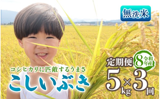 令和8年産 無洗米 こしいぶき 定期便 5kg 3回 15kg 新潟 先行予約 新米 3か月 越後の新しい息吹 コシヒカリ の遺伝子を引き継ぐ 米 おこめ お米 ご飯 ごはん オニギリ お弁当 kome 送料無料 数量限定 農家直送 産地直送 国産 川瀬農園 四代目 悠助 新潟 新発田 kwsMKI003_202609