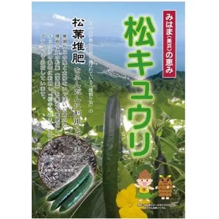 松きゅうり　5kg【配送不可地域：離島・北海道・沖縄県】【1218290】