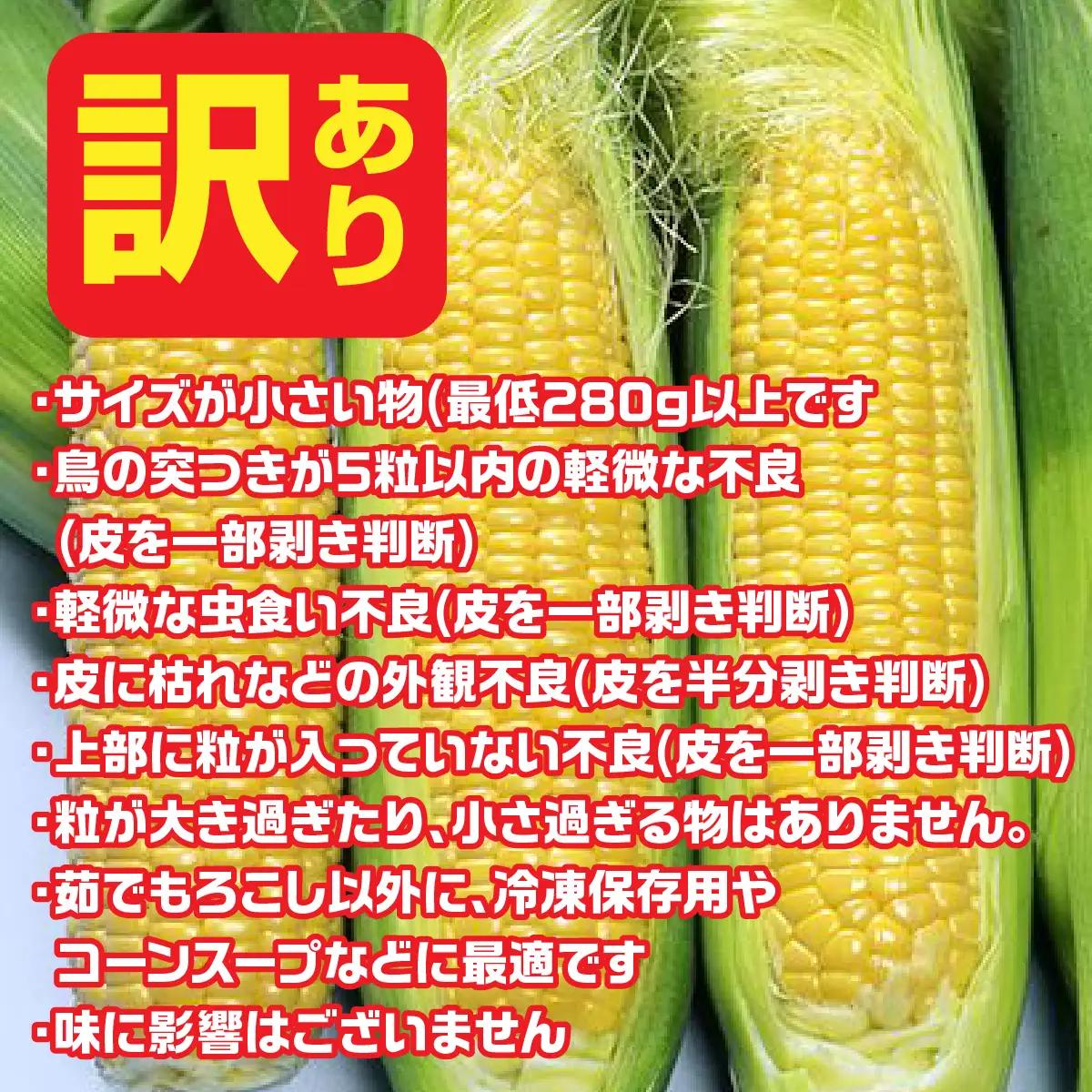 【2026年7月下旬発送】鳴沢村産　とうもろこし　恵味スタ－　【訳あり品】 ふるさと納税 山梨県 鳴沢村 送料無料 NSH005