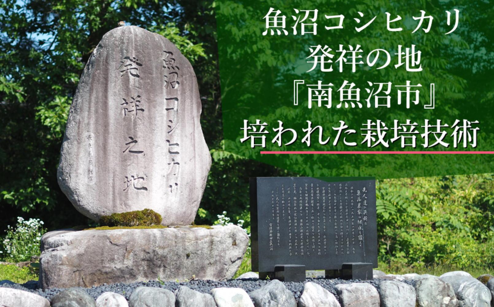 【令和7年産＼新米／】南魚沼産こしひかり「窒素充填2合パック×10袋入」美味しさ長持ち 300g 小袋 便利 精米HACCP認定工場 特A獲得日本一産地 高品質精米 もっちり甘い 南魚沼産コシヒカリ【
