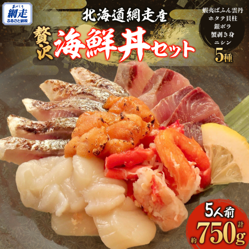 贅沢 網走海鮮丼セット「5人前」 ABJ023