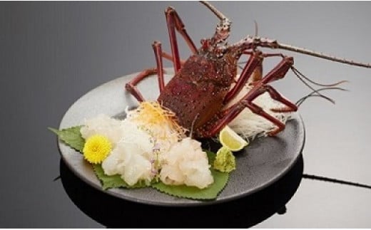 【おせちにもおすすめ！】年内配送 配送日指定可 活き！伊勢海老　約2kg（2～5尾）/伊勢エビ 伊勢えび 年末  三重県 熊野市 熊野 おせち【kmgk0004】