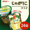 じゃがりこ 68-2カルビーじゃがりこサラダ2箱（24個）【下妻工場産】