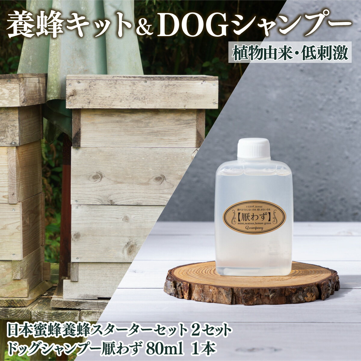 【ふるさと納税】サポートも致します「日本蜜蜂養蜂スターターキット」2個セット＆携帯用「ドッグシャンプー　厭わず」80ml【Qcompany】【P-F1】