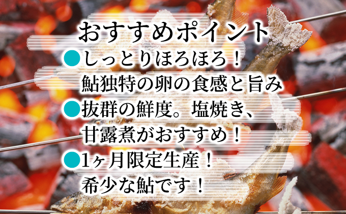  2025年9月発送 生産者直送！「信州あゆ 子持ち 」冷凍8尾入 長野 上田市