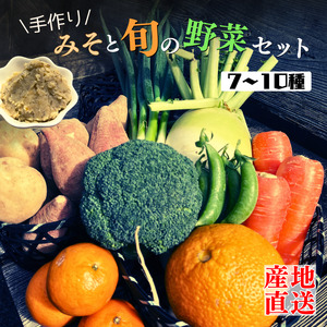 種子島 発！旬の 野菜 と 果物 と 手作り田舎味噌 セット　NFN564 【400pt】