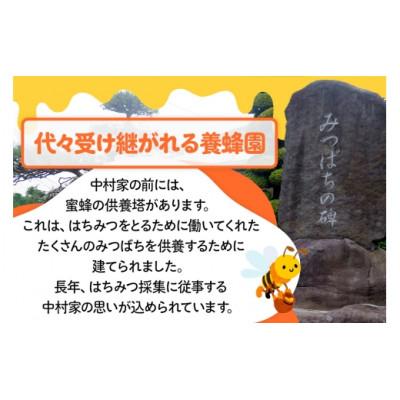 ふるさと納税 沼田市 尾瀬のとち蜜&沼田市産アカシア蜜 詰め合わせ500g×各1本 計1kg 中村養蜂園 |  | 03