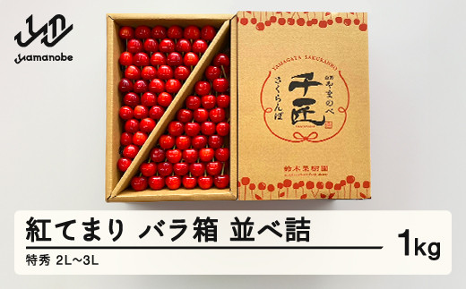 《先行予約》2026年 山形県産 さくらんぼ 紅てまり バラ箱 並べ詰 1kg 特秀 2L～3L サクランボ フルーツ F21A-340