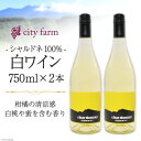 【ふるさと納税】シャルドネ100% 白ワイン 750ml×2本（アルコール度数12％）＜city farm＞【山梨県韮崎市】