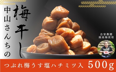 つぶれ梅干し 紀州南高梅 うす塩【ハチミツ入】 500g 塩分10%【nky017-105k】