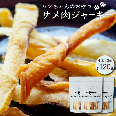 ふるさと納税 気仙沼市 UMINO PET サメ肉ジャーキー 40g×3個 / 石渡商店 20563953