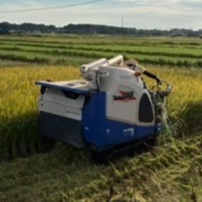 ふるさと納税 つくば市 にじのきらめき白米 10kg×1袋 |  | 01