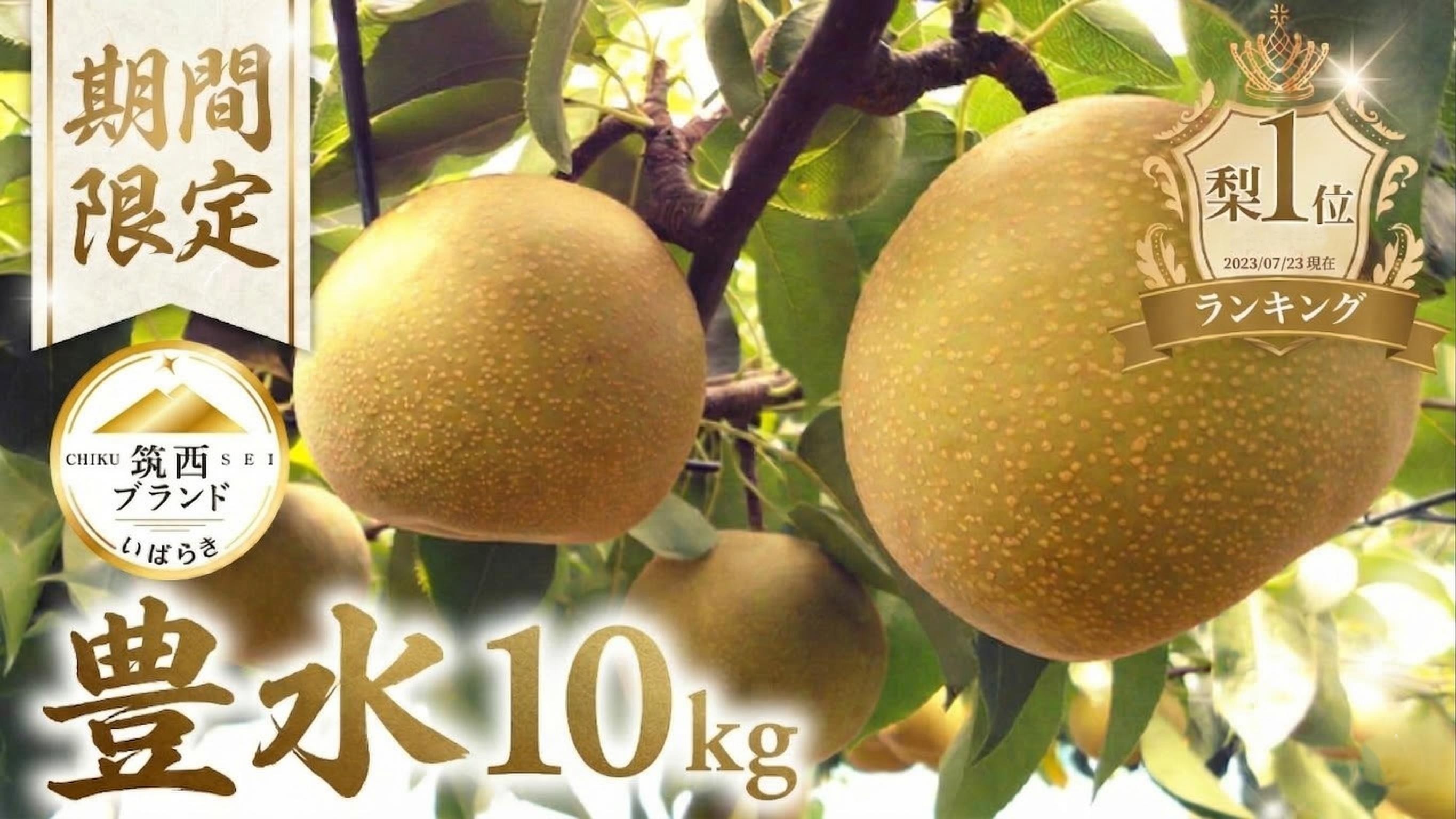
                  梨 豊水 約 10kg （16～28玉） 1箱2段 なし ナシ 5キロ ほうすい梨 旬の梨 和梨 果実 豊水梨 酸味 甘み 品種 果肉 果汁 たっぷり 果物 くだもの デザート フルーツ fruit nasi 2026年産 先行予約 旬の果物 旬のフルーツ 高評価 大人気 おすすめ 特産品  茨城県産 JA 北つくば 関東 茨城 筑西
                