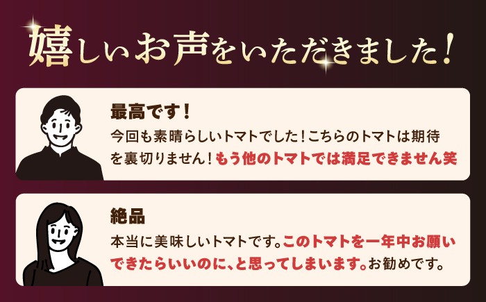 トマト とまと フルーツトマト 訳あり