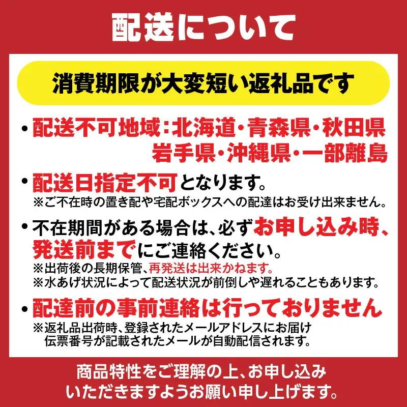 兵庫県香住産 釜茹で香住ガニ（紅ズワイガニ）2～3匹 【令和8年9月下旬以降発送予定】 かに カニ 33-21