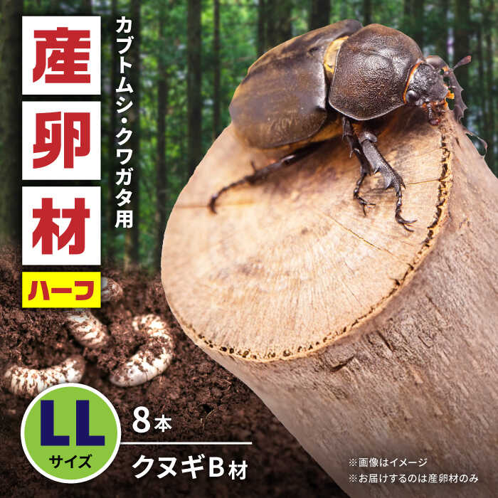【ふるさと納税】オリジナル産卵材 LLサイズ ハーフ カブトムシ クワガタ クヌギB材 【ふるさと昆虫】[YDV018]