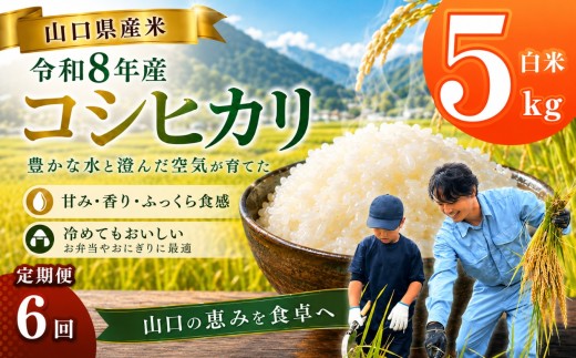 令和8年産 山口県産米 コシヒカリ 5kg 定期配送 6回 ｜ 令和8年産 コシヒカリ 山口県産米 こめ お米 コメ 白米 米 新米 ごはん 定期便 地元応援 瀬戸内 山口県 平生町 5kg