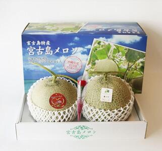 母の日ギフト 母の日メロン【２玉】｜沖縄・宮古島産
