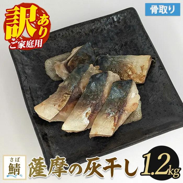 【訳あり・家庭用】薩摩の灰干し 鯖 1.2kg (浜上水産/IB038-006)  魚 干物 骨取り 骨なし 鯖 サバ 灰干し 国産