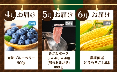 【定期便】どうまい定期便 12回 農産物コース