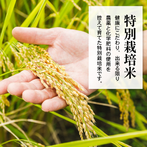 【 先行予約 】令和8年産 雪若丸 2合 8袋 セット ( 1袋 300g ) 計 2.4kg 2合 小分け 産地直送 農家直送 ブランド米 米沢産 精米 米 お米 白米 ブランド米 お取り寄せ 送料