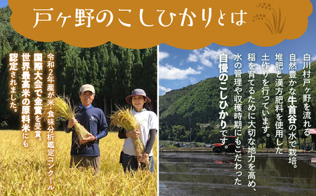 白川郷産 こしひかり使用 甘酒 500ml×1本 あま酒 あまざけ ノンアルコール 戸ヶ野 こしひかり 大田ファーム 米麹 岐阜県 白川村 6000円 [S430]