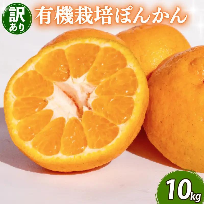 【先行予約】 【早期受付】 ぽんかん 10kg 訳あり 2027年2月より順次発送 須崎市