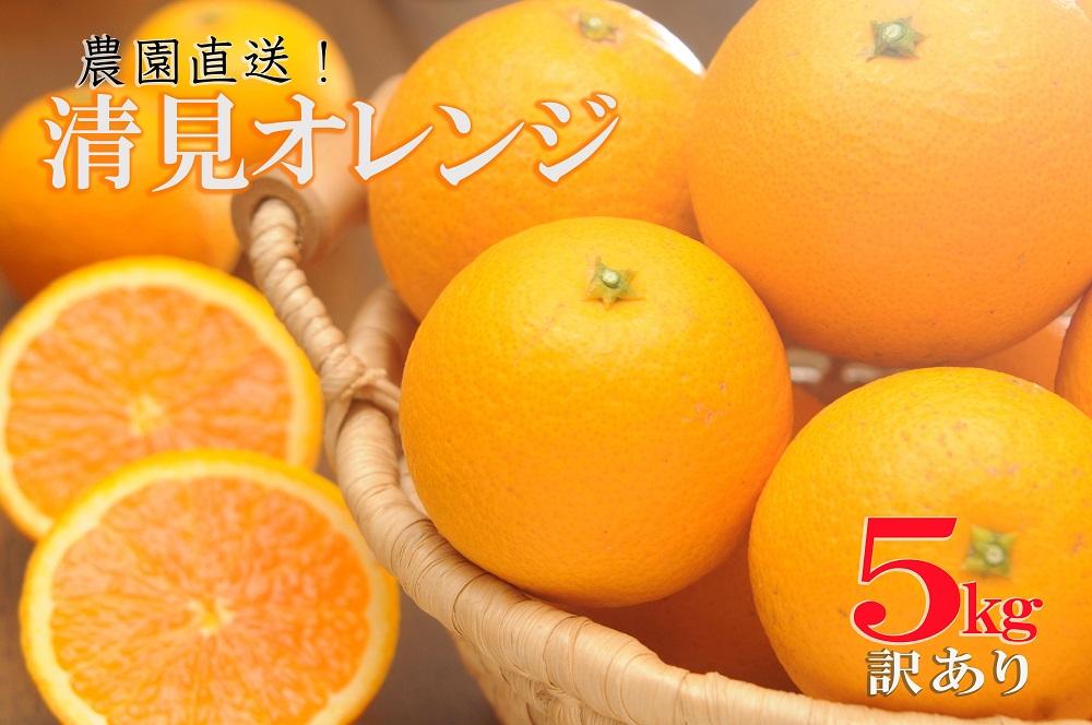 清見オレンジ 約5kg 大小混合 《ご家庭用》 ちょっと訳あり 和歌山県産 農園直送 まごころ産直みかん 【北海道・沖縄県・一部離島 配送不可】 ［Mg65］