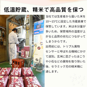 【定期便】訳あり 京都丹波米 10kg（こしひかり5kg・きぬひかり5kg）×6ヶ月 白米 6回定期便 コシヒカリ・キヌヒカリ 各5kg×6回 計60kg ※精米したてをお届け ※北海道・沖縄・離島へ