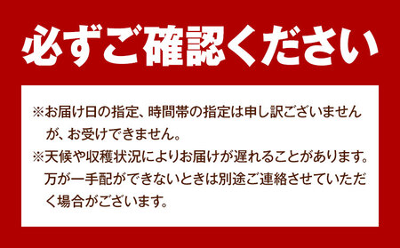 【先行予約】岡山県産 シャインマスカット  約500g ( 1房 )  クール便 晴れの国 おかやま館(フルーツランド岡山) 《2024年8月下旬-10月中旬頃発送予定》岡山県 浅口市【配送不可地域あ
