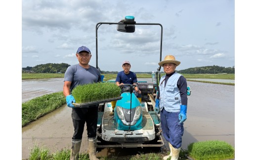 多古米セレクション　大木茂秀さんの多古米コシヒカリ　玄米5kg　令和7年産 TAKF057