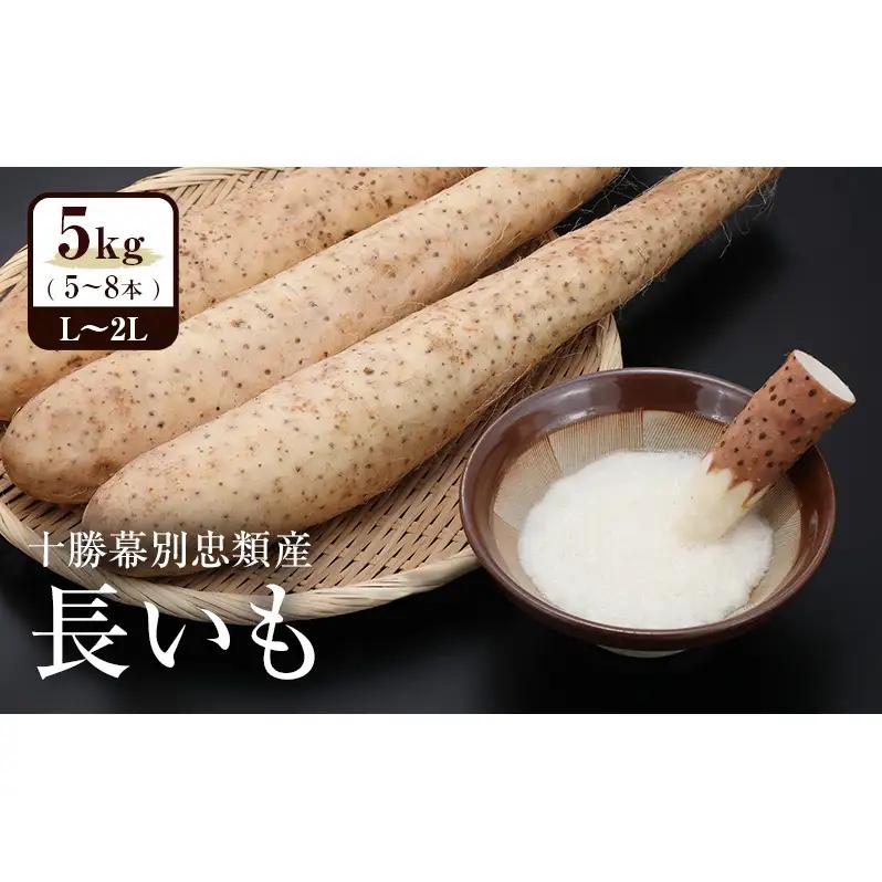 先行予約 忠類長いも 5kg（5～8本）L～2L 長いも