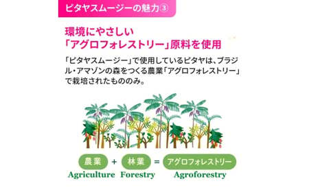 ピタヤスムージー 195g×30本【甘味料・香料・着色料未使用】｜ピタヤ ドラゴンフルーツ ザクロ ジュース フルーツ 果物 くだもの 濃厚 ポリフェノール ベタシアニン エラグ酸 朝食 おやつ 紙 