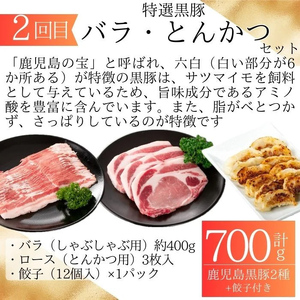 【F90003】＜定期便・全6回＞肝付町セレクト定期便《鰻と豚肉を楽しむ定期便》 鹿児島 豚肉 鹿児島県産 黒豚 鰻 うなぎ ウナギ とんかつ しゃぶしゃぶ ハム ウィンナー 定期便 セレクト 冷凍 