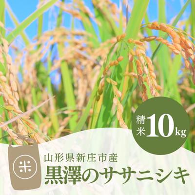 ふるさと納税 新庄市 黒澤のササニシキ 10kg(精米)
