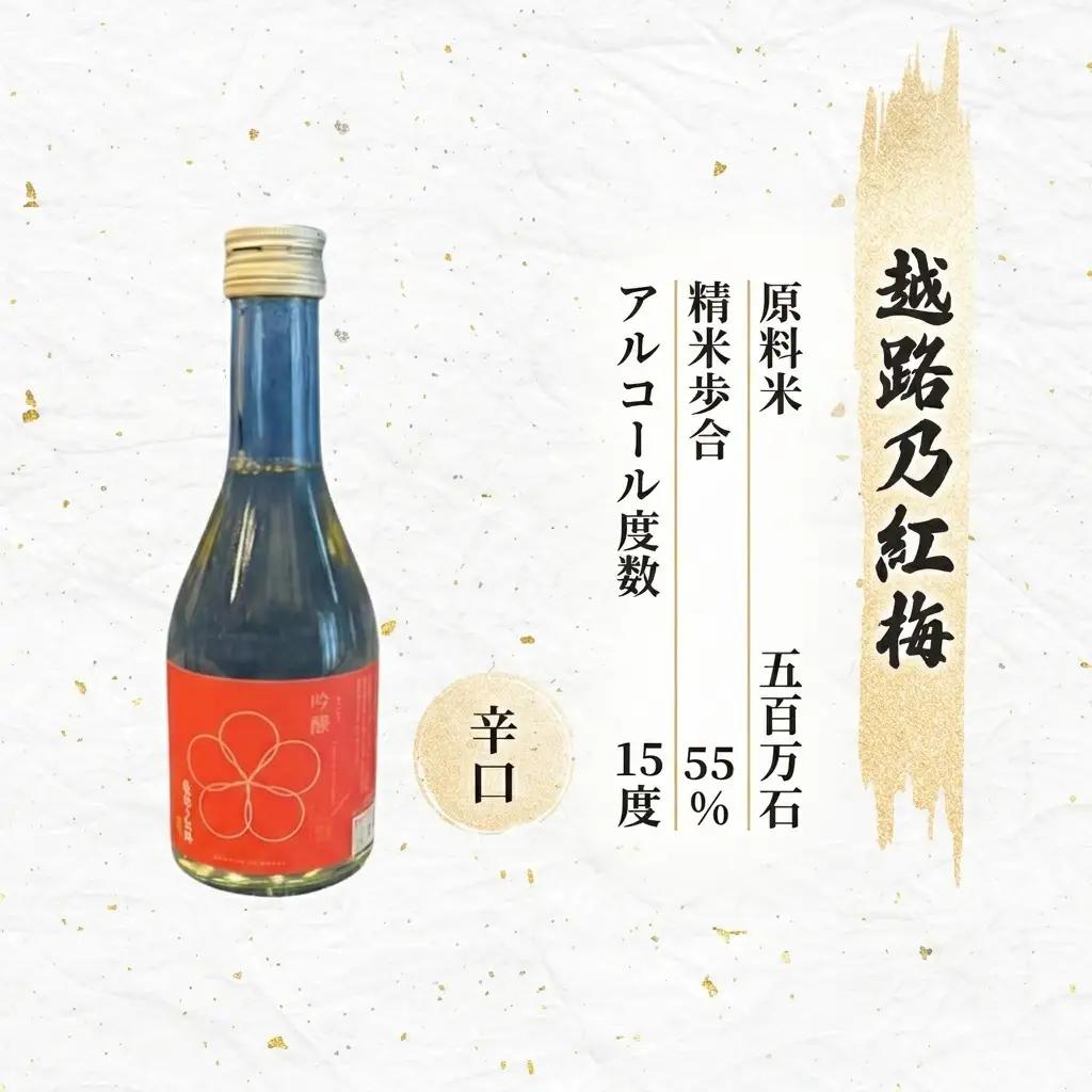 日本酒 新潟 上越の地酒 6銘柄×2本 日本酒セット ギフト 飲み比べ 地酒 上越 300ml×12本 父の日 国産 店長オススメ おすすめ 純米 吟醸