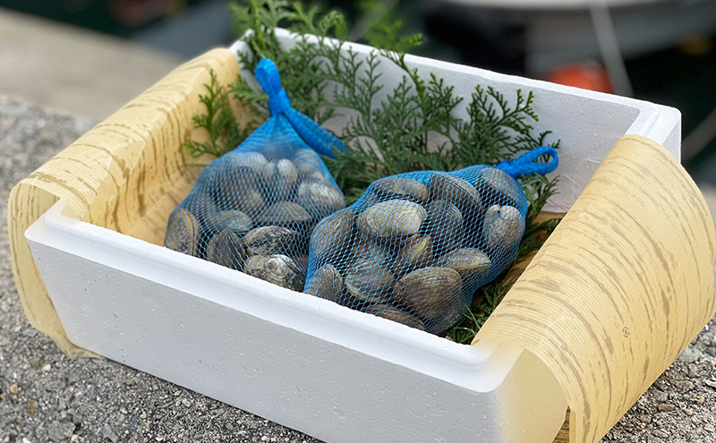【2026年２月上旬出荷予定】さりひめ】姫路産養殖活あさり 特大1kg 貝類 贈答品 ギフト シェフ 身入り 甘い 加熱 白浜 