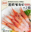 【ふるさと納税】大好評！天然 越前甘エビ（卵あり）大サイズ 計約1kg（約500g × 2箱）（合計約60尾入り） 解凍方法説明書付き 船内凍結 酸化防止剤不使用！ 甘エビ本来の味をお楽しみください 【えび エビ 海老 甘えび 子持ち 海鮮 お刺身 おせち 無添加】 [m17-c004]