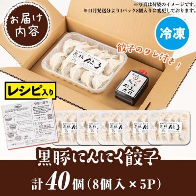 ふるさと納税 伊佐市 黒豚にんにく餃子(計40個・8個入り×5P) |  | 03
