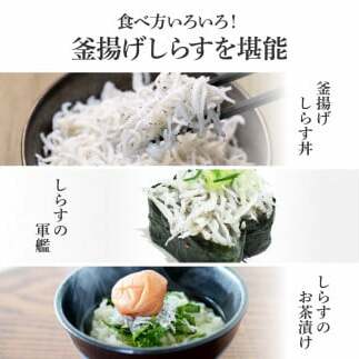 t206kgp　《3ヶ月定期便》高知県産釜揚げしらす500g 定期便 定期コース 3回 簡易梱包 シラス 小分け 国産 釜揚げ しらす丼 海鮮丼 お茶漬け ごはん 軍艦巻き 冷凍配送 おかず おつまみ