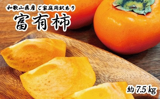 【ご家庭用わけあり】和歌山秋の味覚　富有柿　約7.5㎏ ※2024年11月上旬頃〜2024年11月下旬頃に発送（お届け日指定不可） / 果物 フルーツ 柿 旬 人気 先行予約 訳あり