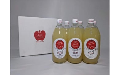 「サンふじ」100％ジュース　600ml×12本