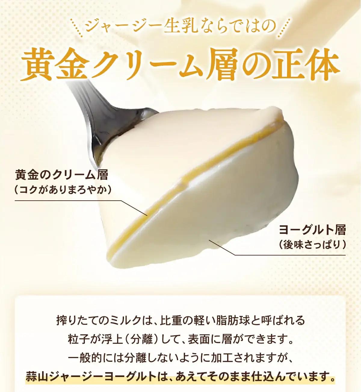 ヨーグルト 蒜山ジャージーヨーグルト10個 スイーツ 【hiru024-01】