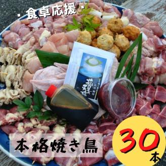 【本格焼き鳥お任せセット3０本】BBQ、キャンプに！