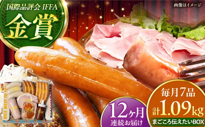 【全12回定期便】TESIOの自家製ハム＆ソーセージ 『まごころ伝えたいBOX』 豚肉 ハム ソーセージ 小分け 真空パック 沖縄市 / TESIO[BCAD015]