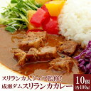 【ふるさと納税】成瀬ダム スリランカカレー 100g×10個